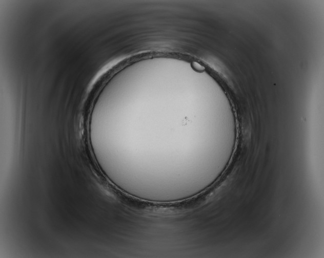 X0000086331070200704131713