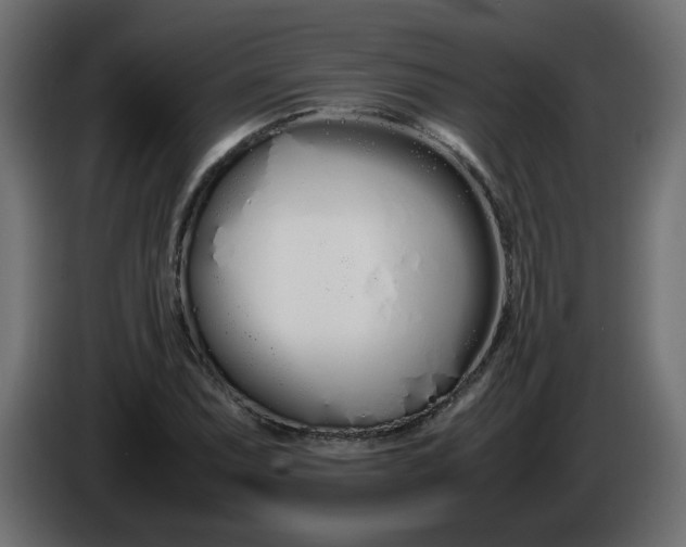 X0000086331071200704131713