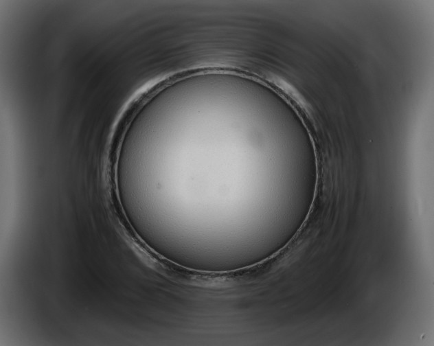 X0000086331072200704131713