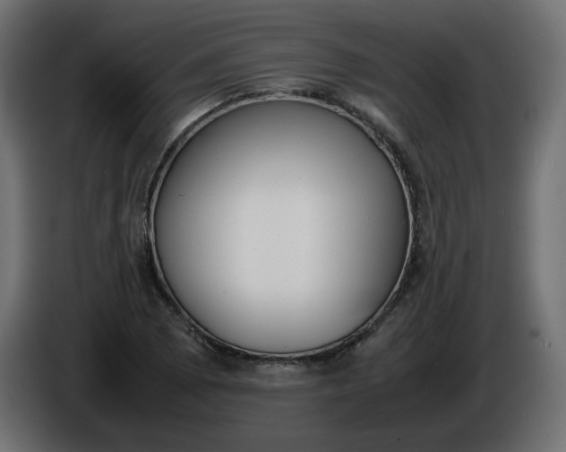 X0000086331073200704131713