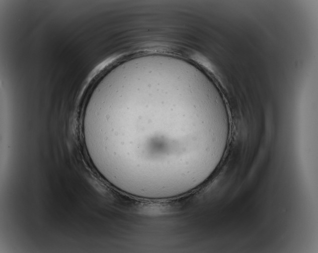 X0000086331074200704131713