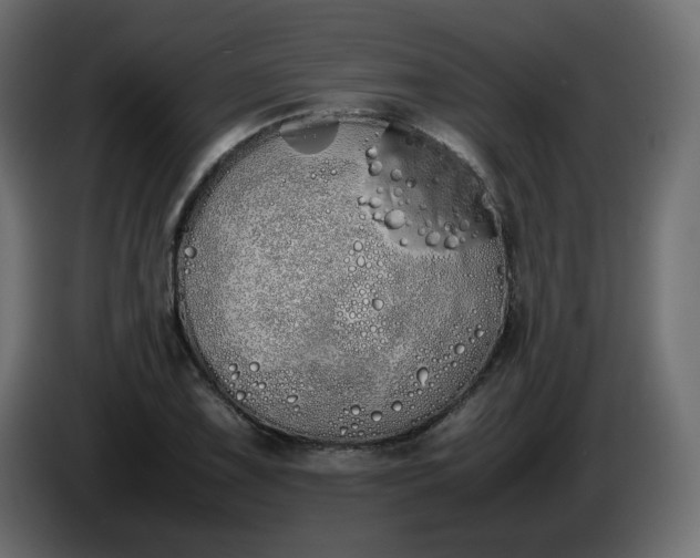 X0000086331075200704131713