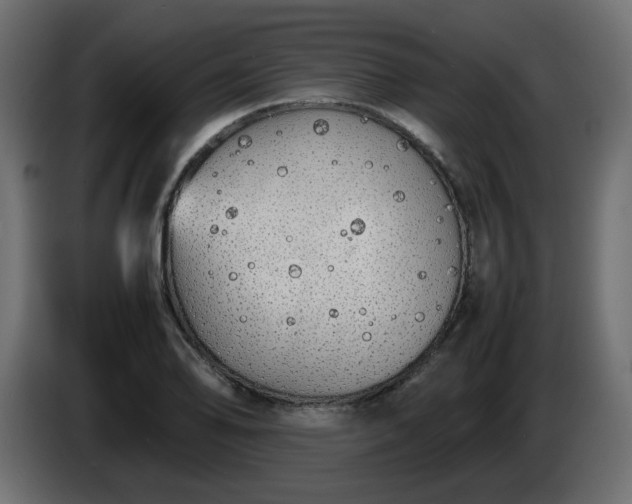 X0000086331078200704131713