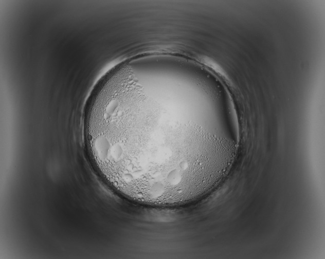 X0000086331079200704131713