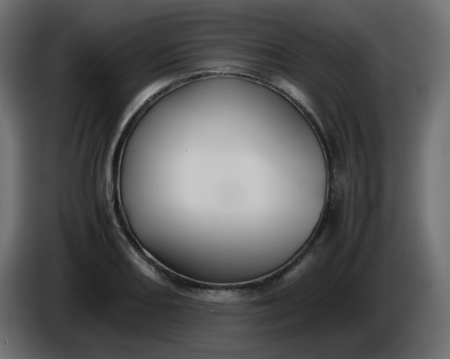 X0000086331082200704131713