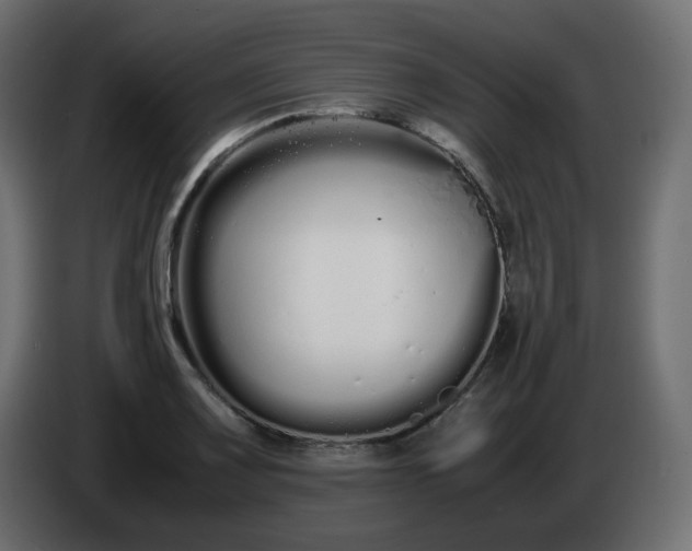 X0000086331083200704131713