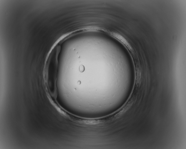 X0000086331084200704131713