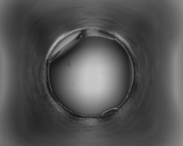 X0000086331085200704131713