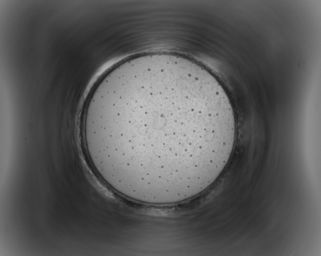 X0000086331086200704131713