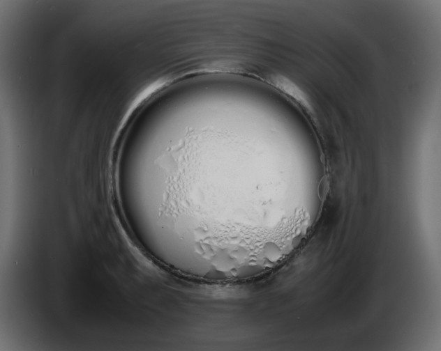 X0000086331087200704131713