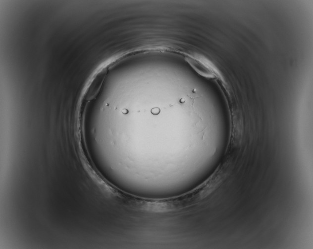 X0000086331088200704131713