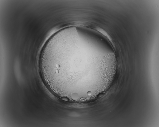 X0000086331091200704131713