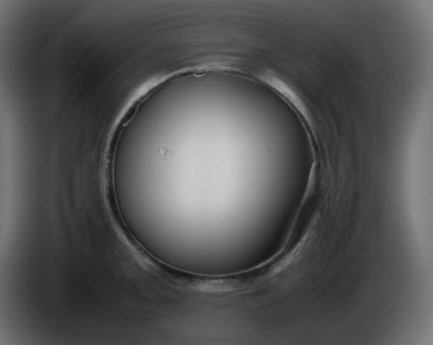 X0000086331093200704131713