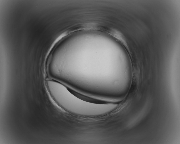 X0000086331095200704131713