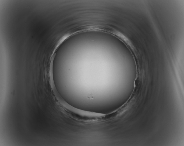 X0000086331097200704131713