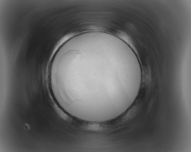 X0000086331098200704131713