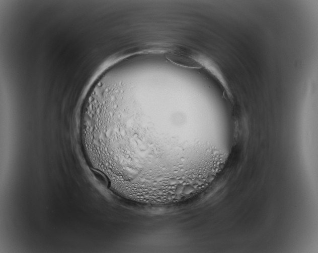 X0000086331099200704131713