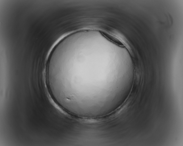 X0000086331100200704131713