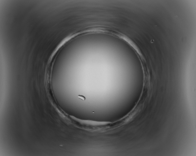 X0000086331101200704131713