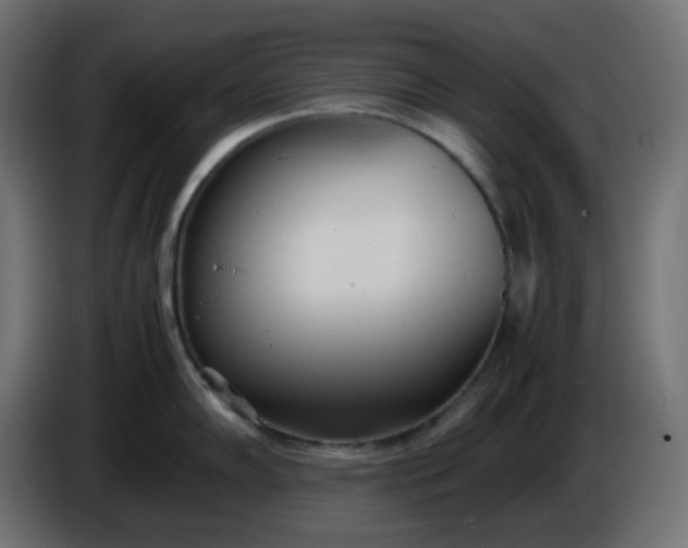 X0000086331102200704131713