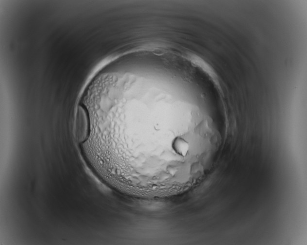 X0000086331103200704131713