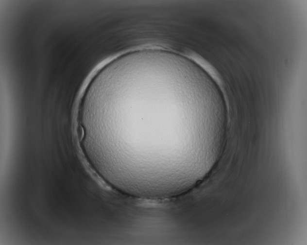 X0000086331104200704131713