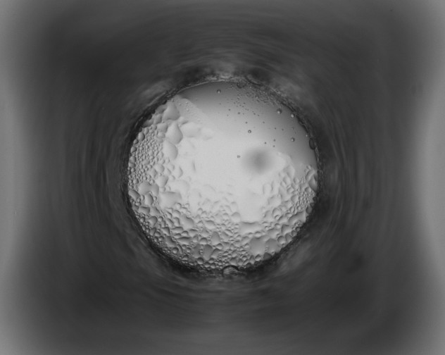 X0000086331105200704131712