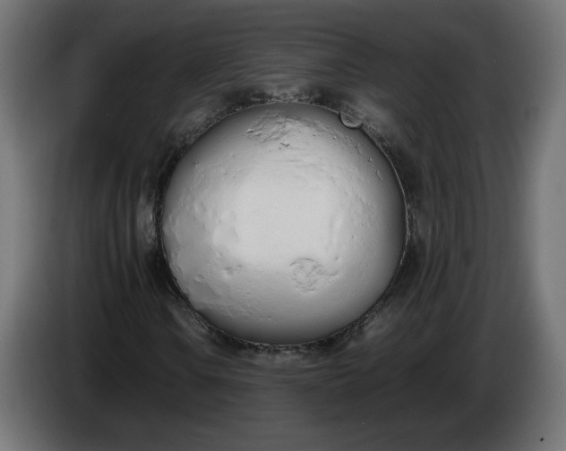 X0000086331106200704131712