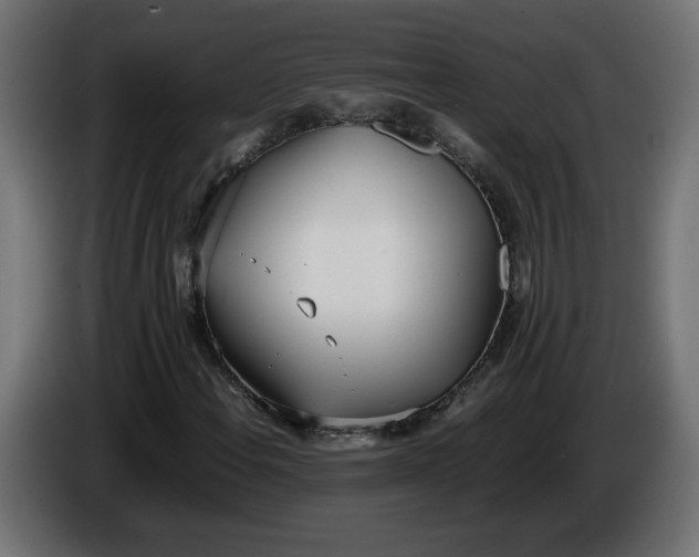 X0000086331108200704131712