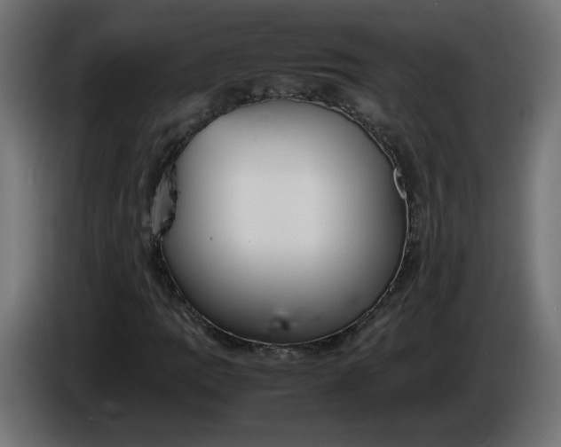 X0000086331109200704131712