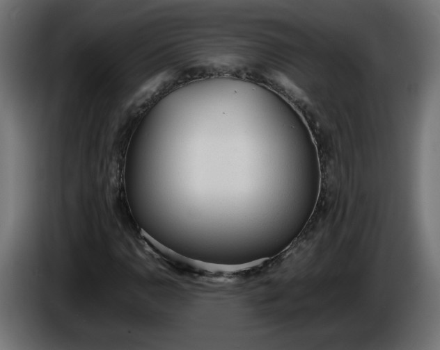 X0000086331110200704131712