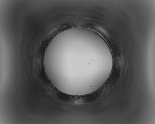 X0000086331111200704131712