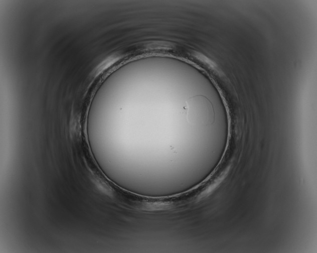 X0000086331113200704131712