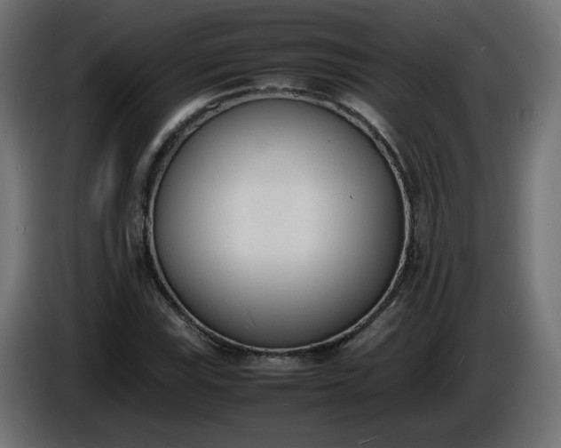 X0000086331115200704131712