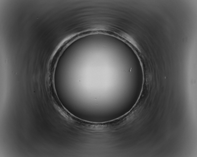 X0000086331116200704131712