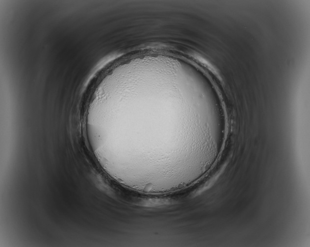 X0000086331117200704131712