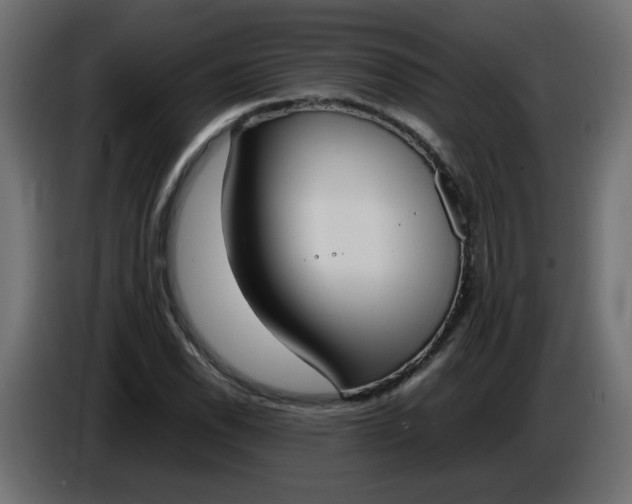 X0000086331118200704131712