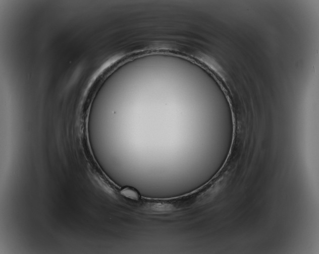 X0000086331119200704131712