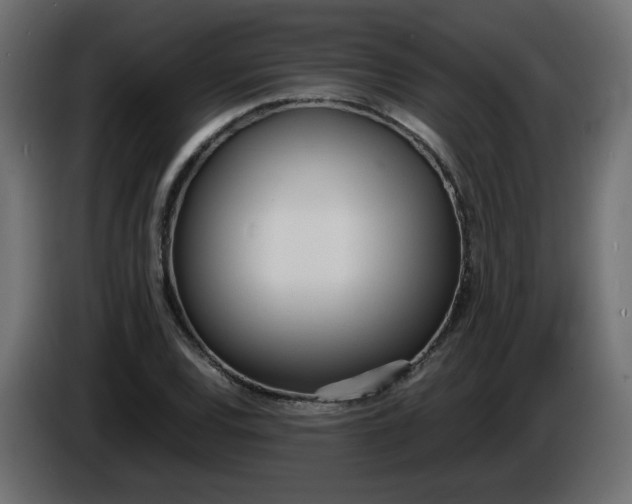 X0000086331120200704131712