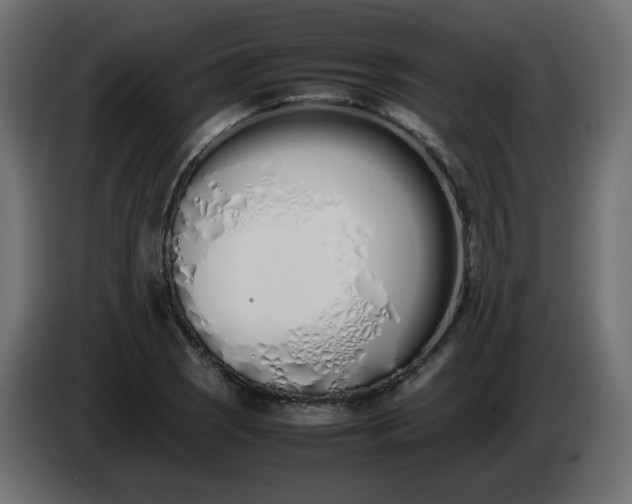 X0000086331121200704131712