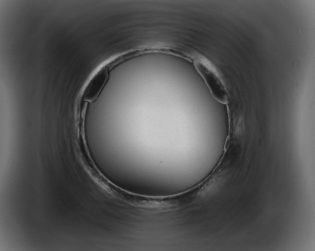 X0000086331124200704131712