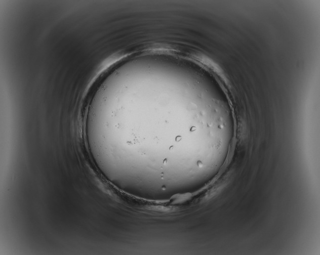 X0000086331125200704131712