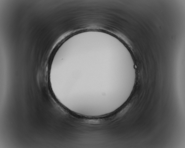 X0000086331126200704131712