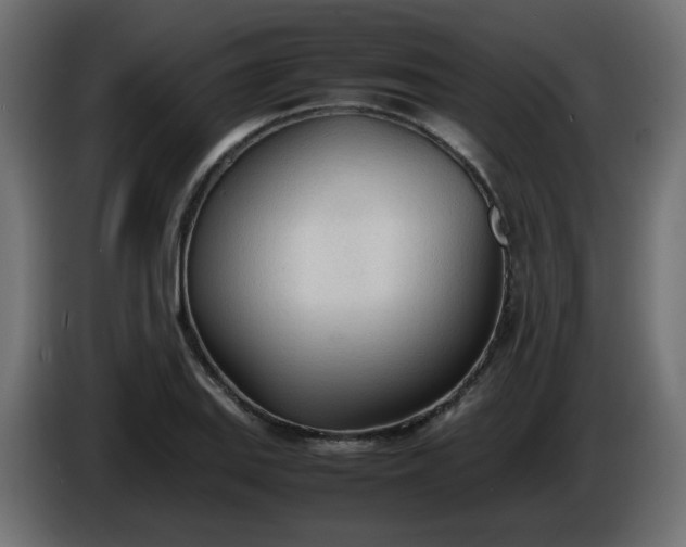 X0000086331127200704131712