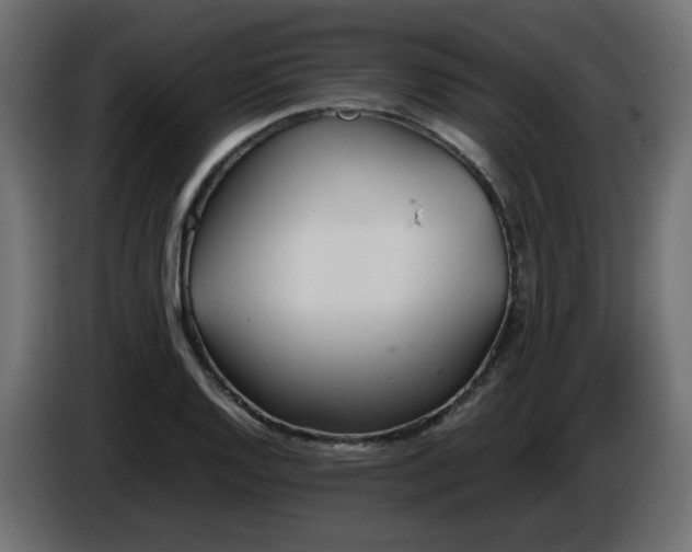 X0000086331128200704131712