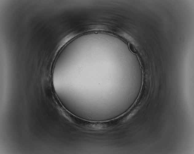 X0000086331129200704131712