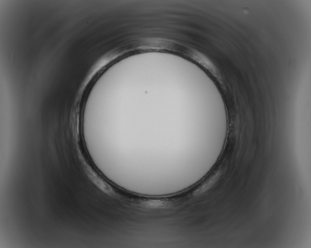 X0000086331130200704131712