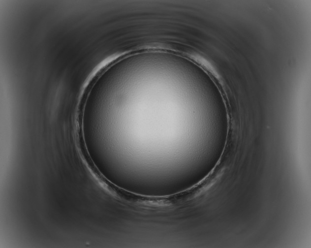 X0000086331133200704131712