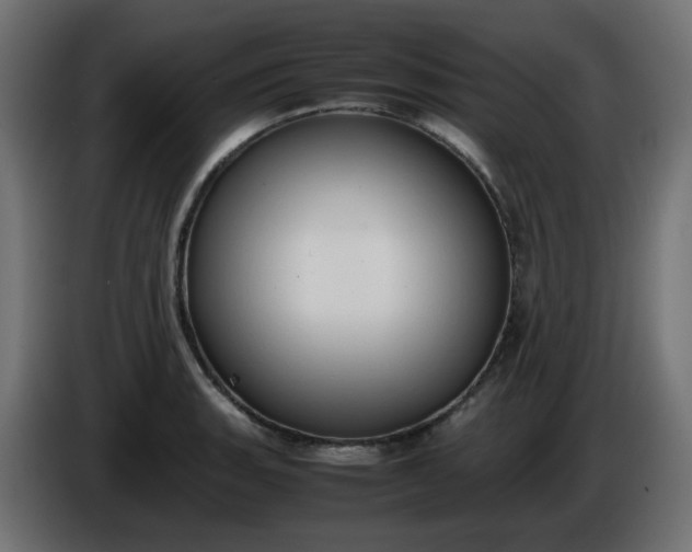 X0000086331135200704131712