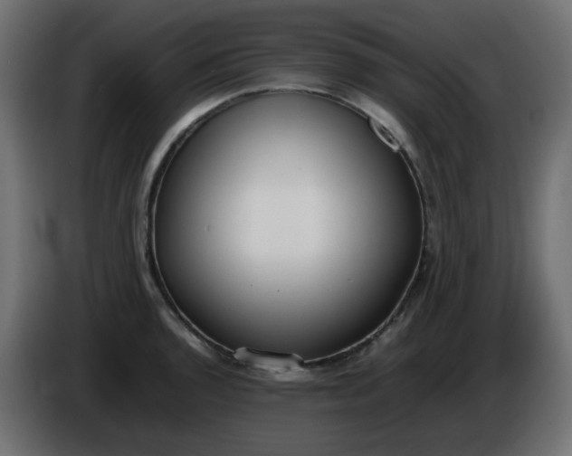 X0000086331136200704131712